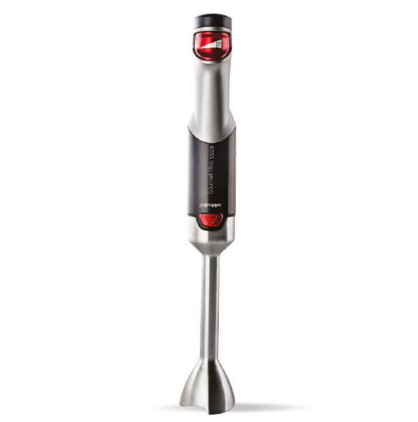 Ραβδομπλέντερ Gruppe Gourmet Plus YHB-801D Μαύρο/Inox 1000W