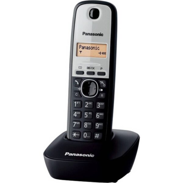 Ασύρματο Τηλέφωνο Panasonic KX-TG1611G Μαύρο/Ασημί